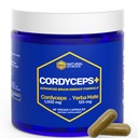 Cordyceps Mushroom Capsules - 1000mg Cordyceps Extract & 125mg Yerba Mate Extract - 100% Fruchtkörper Pilzergänzung - unterstützt Gehirnenergie & Kognitive Leistung - 60 Yerba Mate Kapseln