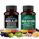 Shilajit Sea Moss Ashwagandha Combo Bundle - Schwarz Seed Oil, Turmeric, Rhodiola Rosea, Panax, Ginseng Supplement | 120 Kapseln, Bessere als Gummis, Harz | Seamoss für Männer & Frauen