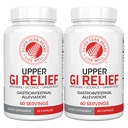 Silber Fern GI Relief - Natürliche Kräuterergänzung - Alle natürlichen mit Artichoke Blatt Extrakt, Ginger Root Extract, und GutGuard Licorice Flavonoids (2 Flaschen - 120 Kapseln - 60 Tage Versorgung)