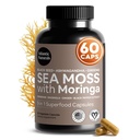 Atlantic Naturals Sea Moss Capsules – Irish Sea Moss mit Black Seed Oil, Ashwagandha, Moringa, Ginseng & Ginger für Energie, Vitalität & Wellness – Nahrungsergänzung – Made in USA – 60 Kapseln