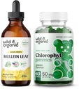 Wild & Bio Mullein Tropfen 4 Unzen & Chlorophyll Gummi 60 Kauen