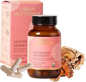 Urban Moonshine Mushroom - Kräuterergänzung für Immununterstützung - mit Lion's Mane, Maitake, Turkey Tail & Reishi - Certified Organic, Gluten-Free & Vegan - 60 Kapseln