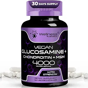 WELLNESS LABSRX Glucosamin Chondroitin MSM - 4000mg - Glucosamine Chondroitin Kapseln - 120 Zähler