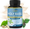 Organic Cadane Holy Basil Supplements Kapseln, 5in1 mit Guduchi, Ginger, Kurkuma, Licorice - Unterstützung Immune - 90 Kapseln für 3 Monate