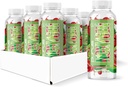 Purus Labs NOXygen bereit zu trinken (RTD) Pre-Workout | Pumpe, Energie, & Leistung | 0 Zucker | 200mg Koffein | Paket von 12 (Kherry Lime)