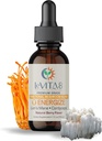 LeVITA8 Premium Pilz Tropfen für Erwachsene - 100% Natürliche Berry Flavor - Synergistische Mischung von Lions Mane Liquid, Cordyceps Extract & B12 - Fast Absorbing Drop (1oz, 30 Tage Versorgung)