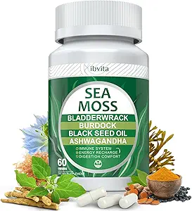 Sea Moss Black Seed Oil Kapseln - Ergänzungen mit Seamoss, Ashwagandha, Burdock Root, Ginger & Multimineral für Immun- & Verdauungsunterstützung, Energie für Männer und Frauen verbessern - 60 Kapseln