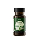 Serene Kräuter 17-in-1 Sea Moss Kapseln mit Irish Seamoss, Black Seed Oil, Ashwagandha, Turmeric & Bladderwrack - Advanced Immunity, Energy & Gut Support - Natural Herbal Supplement - 60 Count
