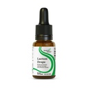 Suchende Health Lactase Tropfen - Flüssige Ergänzung mit Lactase Enzyme für Dairy Intolerance Support - Intolerance Support für Verdauung - Lactase Enzyme Supplement - 0.50 Fl oz, 52 Servierungen