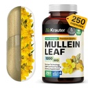 BIO KRAUTER Mullein Kapseln 1200 mg 250 Count - Pure Vegan Mullein Blatt Extrakt für Lunge - 125 Tage Versorgung - Lung Cleanse & Respiratory Support Supplements - Keine Füllstoffe, Non-GMO