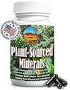 Fulvic Humic Mineral Blend of Plant-Sourced Trace Minerals, Elektrolyte, Gut Health, Kognitive & Immununterstützung, Pure Vitality Formula for Strength - - 120 Kapseln