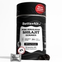 Besser Alt Pure Himalayan Shilajit Gummies mit 100% Shilajit |High Potency Gold Grade| 60 Gummis für Energie Boost & Immune Unterstützung, 75% + Fulvic Acid - Travel Friendly - Tamar Flaind
