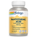 SOLARAY Pantothensäure 500mg - Vitamin B 5 für Coenzym-A Produktion und Energie Stoffwechsel, Haar, Haut und Nägel Unterstützung - Vegan, Lab Verified, 60-Day Garantie - 100 Servierungen, 100 VegCaps
