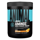 Animal Juiced Amino Acids - BCAA Powder EAA Matrix Plus Hydration mit Elektrolyten und Meersalz jederzeit Erholung und verbesserte Leistung, Orange Flavor, 30 Portionen