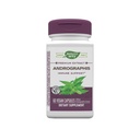 Nature's Way Premium Extract Andrographis, Immununterstützung*, 300 mg Andrographis Extrakt pro Portion, 60 Kapseln