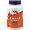 JETZT Choline und Inositol 500mg, 100 Kapseln (Pack von 2)
