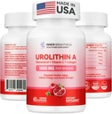 Urolithin Eine Ergänzung 1400 MG - Non-GMO, Glutenfrei, Anti-Aging, Cellular Renewal, Muskelkraft, Ausdauer & Langlebigkeit Unterstützung, Liposomal Urolithin A, 60 Zähler