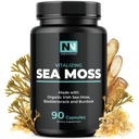 Irish Sea Moss Capsules | with Organic Irish Moss, 300mg Burdock Root & 500mg Bladderwrack Powder | 45-Day Supply | 1300mg Complex | Bietet Iodine für Schilddrüse & Immununterstützung | 90 Veggie Pillen