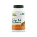 Frische Nahrungsergänzungsmittel Bio-Tail Pilz-Extrakt - High in Beta Glucans – Non-GMO, Vegan freundlich, Glutenfrei - 90 Kapseln