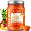 WELLNESS LABSRX Irish Sea Moss Gel Raw - Wildcrafted Superfood Seamoss Gel - Ananas Mango Flavor, Vitamin und Mineral-Rich aus Pristine Caribbean Waters - 10 Unze.