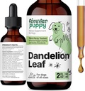Forever Puppy Dandelion Blatt Tropfen für Hunde - Nierengesundheit Flüssigkeitsergänzung für große, mittlere und kleine Hunde - Kidney Cleanse Detox Tropfen w/Dandelion Blätter Tinktur - 2 oz