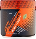Endurance BCAA Plus, Designed for Training Harder and Longer with Beta Alanine, Melon, 434 Gram