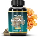 Capsules de mousse de mer d'Irlande biologique - Formule d'avance, supplément de Seamoss sauvage brut avec Bladderwrack et racine de Burdock - 180 pilules - Fabriqué aux États-Unis