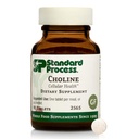 Standard Prozess Choline - Unterstützt gesunde Fett Stoffwechsel, Leber Gesundheit & Nervous System Funktion - Glutenfrei, Non-Dairy & Vegetarian -180 mg, 90 Tabletten