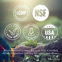 ML Naturals Phosphatidyl Serine 200 mg (Standard) 240 pflanzliche Kapseln. Unterstützt Memory & Brain Funktion, Non-GMO, NSF-zertifiziert & cGMP-Compliant