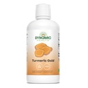 Dynamische Gesundheit Turmeric Gold, 100% Saft, Turmeric Supplement, keine Zusatzstoffe, Gelenkunterstützung, Antioxidans, Entzündung, Vegan, Glutenfrei, Non-GMO, 32 Fl Oz