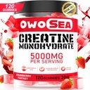 Kreatin Monohydrat-Gummi für Männer & Frauen 5000mg Kreatin Monohydrat pro Servieren für Muskelunterstützung Energie Boost 120 Count Chewable 5g Kreatin Ergänzung Zucker Free Vegan (1 Pack, Erdbeere)