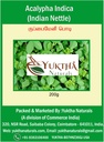 Natürliche Harita Manjari Kuppaimeni/Acalypha Indica Powder/Indian Nettle - 200g