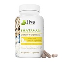 Jiva Botanicals Shatavari Kapseln für Damen – 1.200mg Bio Shatavari Pulver für Hormonal Balance, Frauen reproduktive Gesundheit & Menopause Unterstützung – Non-GMO, Vegan, Gluten-Free – 60 Kapseln