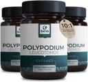 Polypodium Leucotomos Extract 10:1, 240 mg,120 Veg Kapseln - Unterstützt natürliche Gesundheit Hautpflege- Antioxidans- Natürliche Haut Ton- Vegetarisch, Nicht- GMO 4 Monat Versorgung