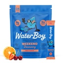 Waterboy Weekend Recovery | 3,200mg Elektrolyt-Pulver-Packets | Ginger + L-Theanine + Vitamine | Kein Zucker, Alle natürlichen, Glutenfrei | 24 Getränke-Stick-Mix (Fruit Punch)