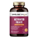 Activated Folate-L 5-MTHF DFE Supplement - Methylfolate B9 MTHF mit Vitamin B12, CoQ10, & Red Raspberry - Methyliertes L-Methylfolat für Männer und Frauen - 500 mcg - 90 Veggie Kapseln