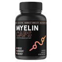 Myelin Caps, Brain Health Supplement, Focus Supplement & Brain Health mit AlphaSize, Memory und kognitive Funktion Unterstützung, Glutenfrei, Non-GMO (90 Kapseln)