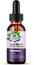 Erstaunliche Botanicals Acai Berry Tincture 10.000 mg - 1oz - Premium Antioxidantien-Ergänzung, große Zugabe zu Ihren Glatten - 30ml