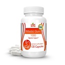 Premium Mastic Gum Kapseln - Natural Gastrointestinal Support Supplement, 1000mg pro Servieren - 120 Kapseln (1 Flasche)
