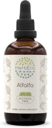 HerbEra Alfalfa B120 Alkoholfreie Kräuterextrakt-Tinktur, Konzentration flüssige Tropfen natürliche Alfalfa 4 fl oz