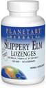 Planetary Kräuter Slippery Elm Lozenges, Erdbeere, 24 Count