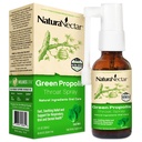NaturaNectar - Green Propolis Throat Spray - Einzigartiges, beruhigendes Throat Care Relief mit brasilianischen Bienen Propolis - Natürliche und nicht-alkoholische Throat Care Formel aus nachhaltiger Bienenhaltung (1-Pack, 30mL)