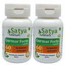 Gurmar Forte Kapseln 500 mg. 60 Veg. Kapsel | Gudmar (Gymnema Sylvestre) Extrakt Kapseln für Männer und Frauen | Ayurvedische Kräuterergänzung/Remedies | 10:1 Forte (2 Flaschen von 60 Kapseln)