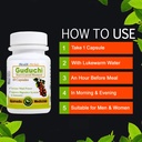 Guduchi- Tinospora cordifolia 120 Capsules Bottle Packing