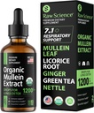 Bio Mullein Tropfen für Lunge - Atemunterstützung & Mucus Relief - Lung Detox für Raucher: Mullein Blatt Extrakt, Licorice, Ginger, Oregano & Nettle Leaf, Thyme - Lung Cleanse Kräuterextrakt, 2oz