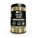 PURE ORIGINAL INGREDIENTS Olivenblatt (730 Kapseln) Kein Magnesium oder Reisfüller