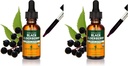 Herb Pharm Certified Organic Black Elderberry Liquid Extract für Immunsystem Support, Organic Cane Alcohol, 1 Oz (Pack von 2)