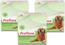 Probiotikum für Hunde - Gesunde Verdauung - Boost Immune System - Normale Bowel Funktion - Haut- und Mantelgesundheit - Ergänzung für GI Tract - 90 Servierungen, 3-Pack