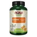 JETZT Pet Health, L-Lysine Supplement, Pulver, geformt für Katzen, NASC zertifiziert, 8-Ounce