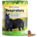 Silber Futter Kräuter Atemunterstützung Ergänzung für Pferde - Pferde Ergänzungen für Lung Cleanse & Respiratory Health - Toll für Lung Funktion, Atmen & Klare Luftwege - 1 lb 60-Tag Versorgung